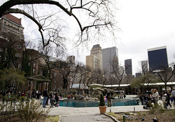 The Central Park Zoo
