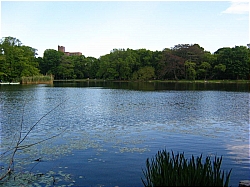 Prospect Lake At Prospect Park - Brooklyn