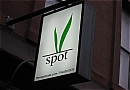 The V Spot